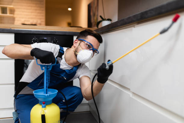 Best Termite Control Services  in New Haven, IN
