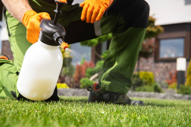 Best Wasp Removal Services  in New Haven, IN